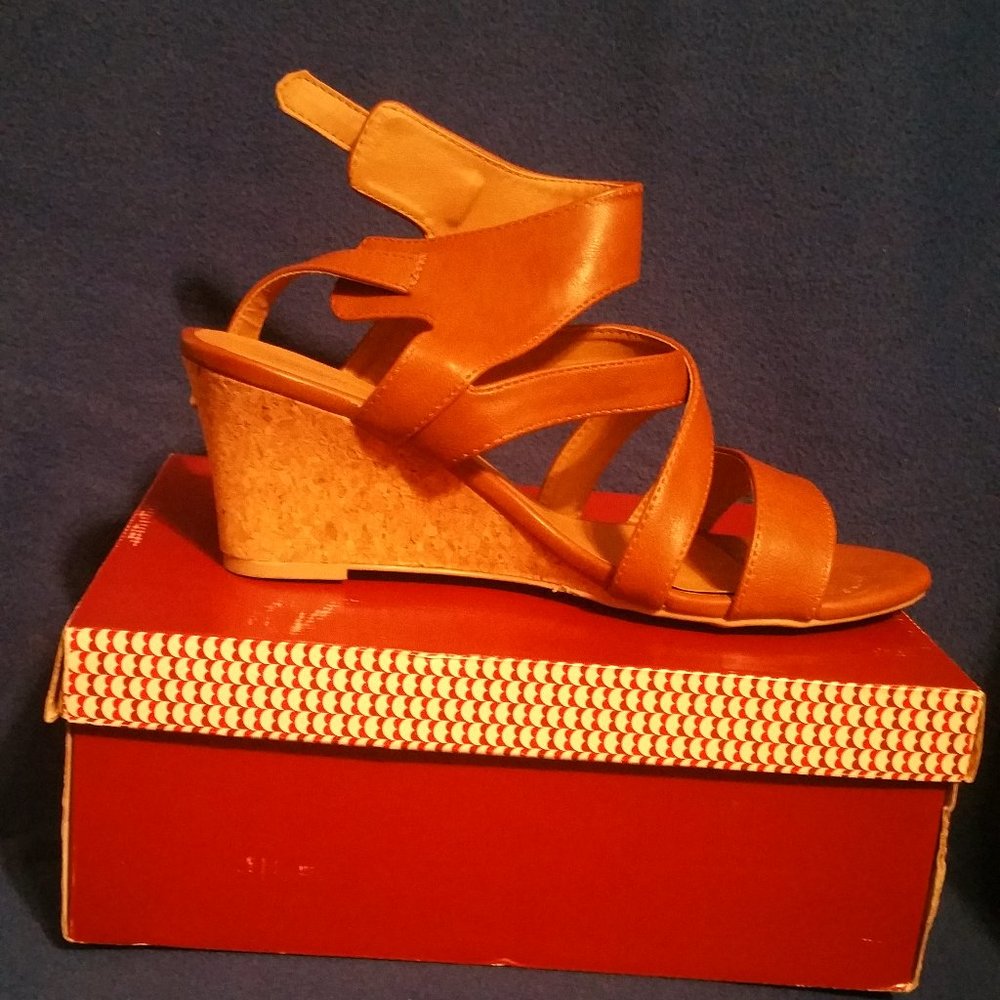 Wedge
